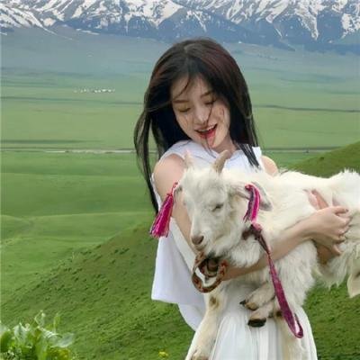 剧场版 白箱